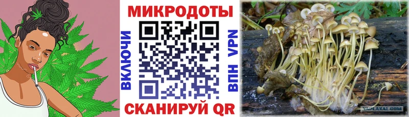 Псилоцибиновые грибы Psilocybine cubensis  купить наркоту  Катайск 