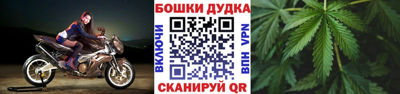 Шишки марихуана AK-47  блэк спрут tor  shop телеграм  как найти наркотики  Катайск 